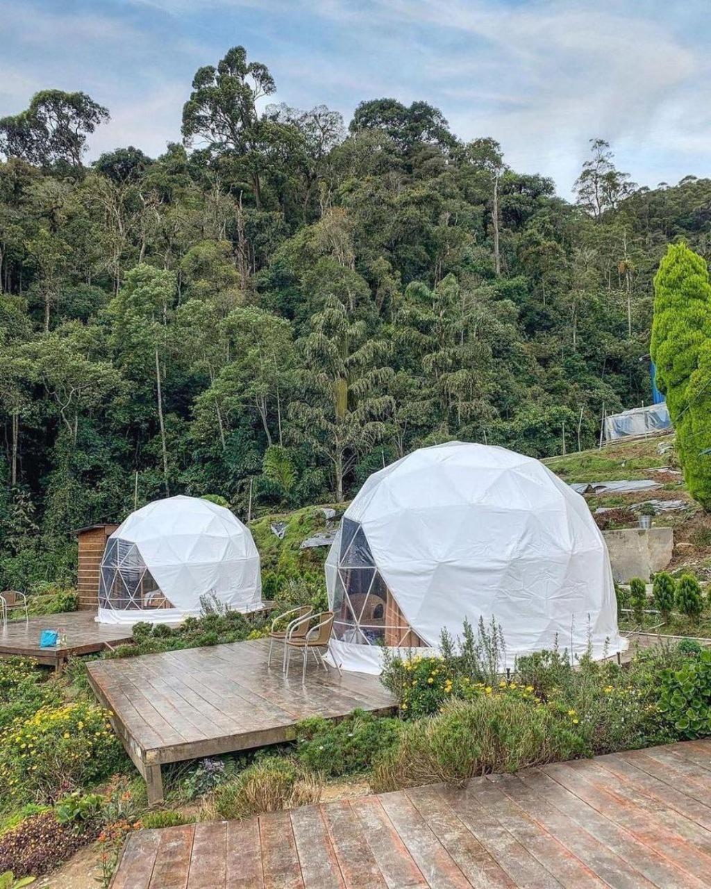 A'moss Farmstay Cameron Highlands Kültér fotó